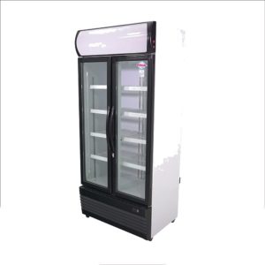 Visicooler 600 Litros LG600B MAIGAS