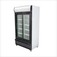 Visicooler 800 Litros | MAIGAS